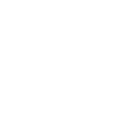 Paradox white logo